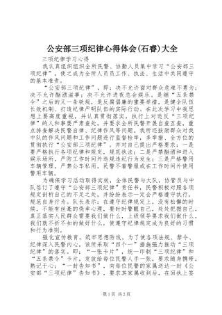 公安部三项纪律心得体会(石睿)大全