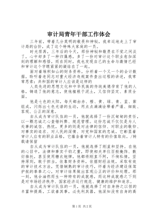 审计局青年干部工作体会