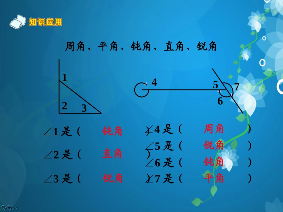 北师大版四年级数学上册《角的度量》课件PPT_第3页
