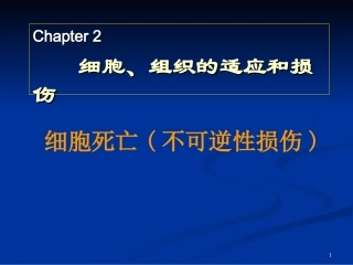 不可逆性损伤