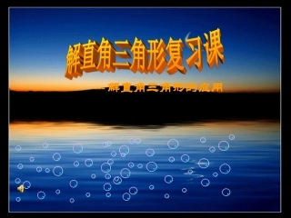 解直角三角形复习课2