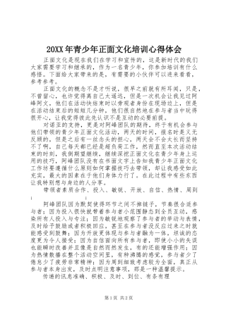 20XX年青少年正面文化培训心得体会