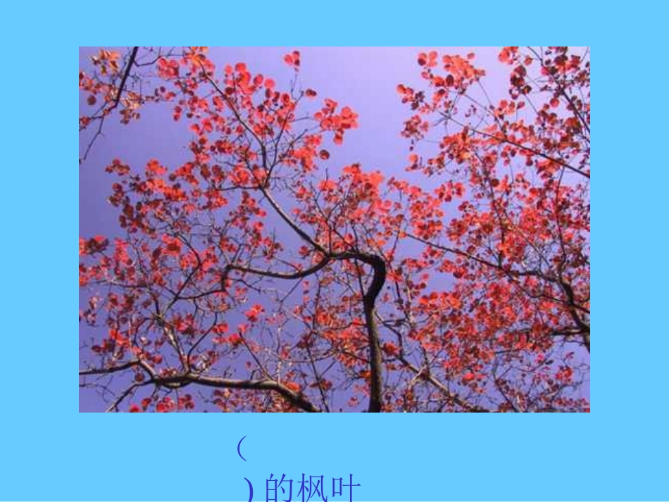 人教版小学语文二年级上册《蓝色的树叶》PPT课件_第3页