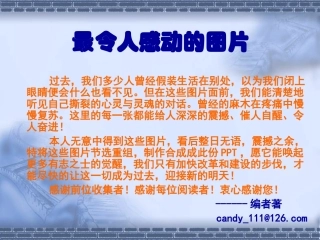 最令人感动的图片