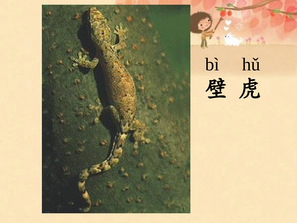 小壁虎借尾巴()_第2页