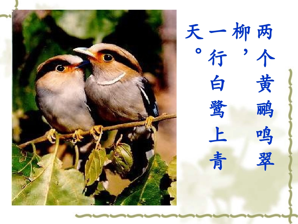 八年级生物上第三章-动物在生物圈中的作用_第2页