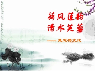 荷风莲韵清水芙蓉