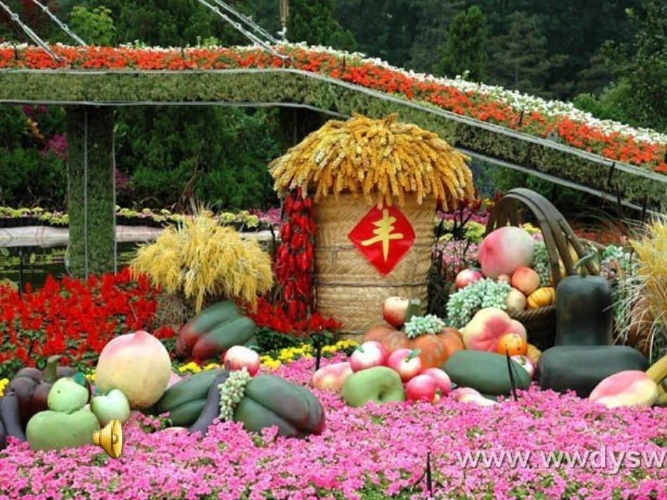 识字4课件（李映芳）_第2页