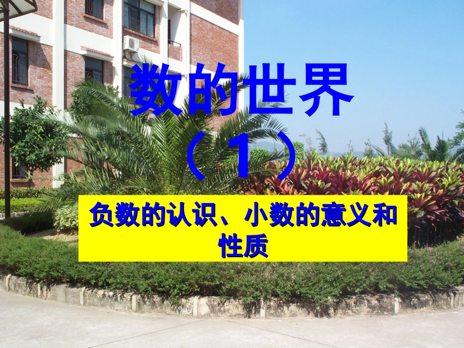 复习正负数及小数的意义和性质_第1页