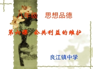 思想品德：第六课《公共利益的维护》课件(教科版八年级下)[1]2