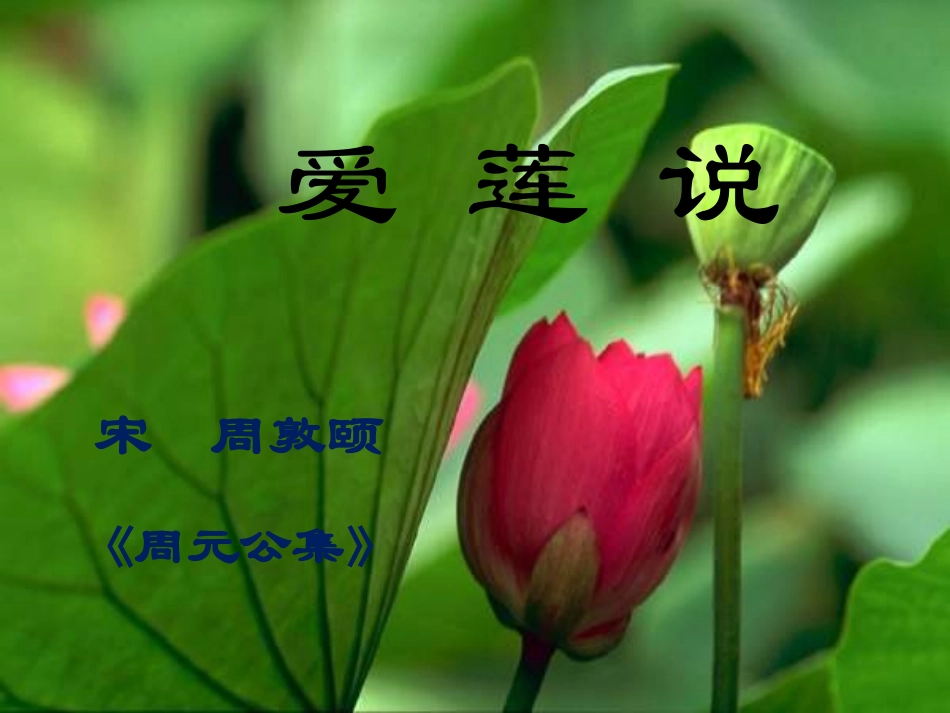 《短文两篇(爱莲说、陋室铭)》课件_第2页