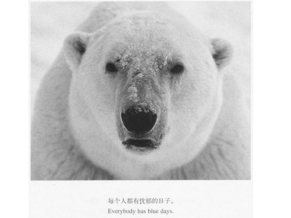 格桑—心情不好吗？_第2页