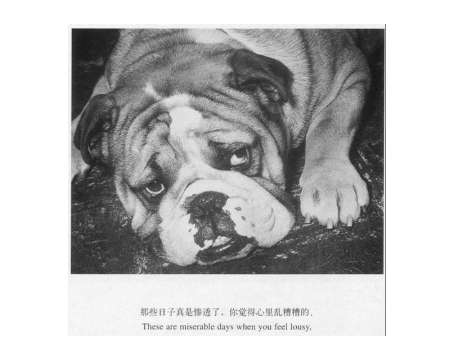 格桑—心情不好吗？_第3页