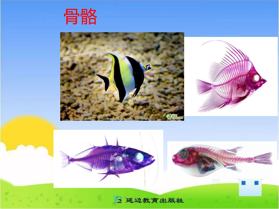 《保护我的身体》教学课件2_第3页