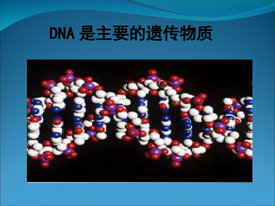 二轮专题复习课件DNA是主要的遗传物质原创_第1页
