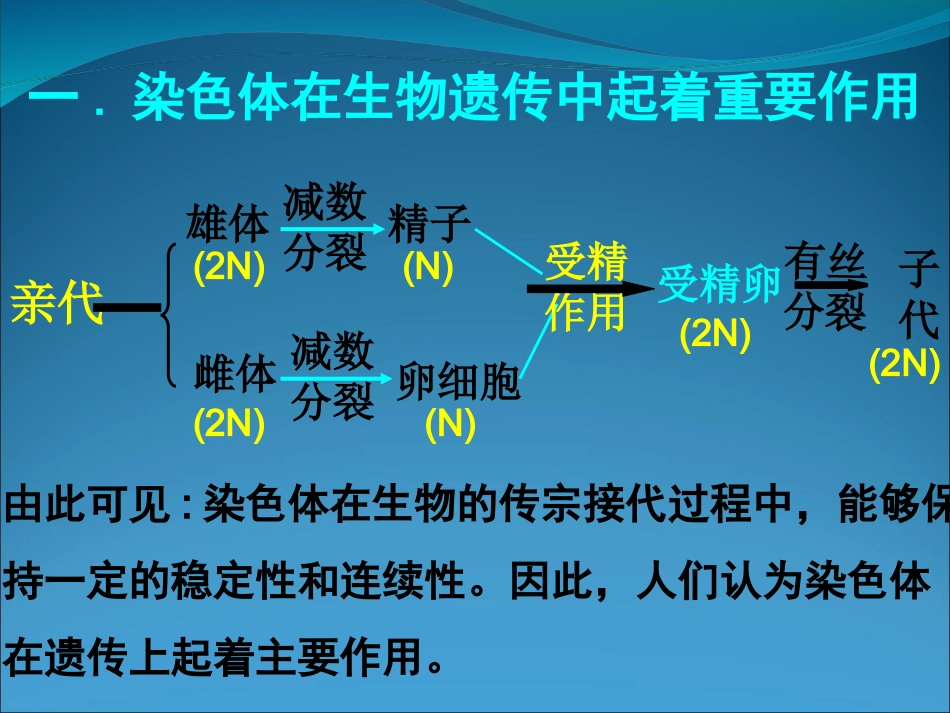 二轮专题复习课件DNA是主要的遗传物质原创_第3页