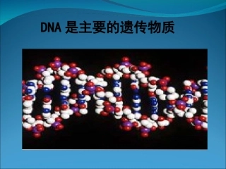 二轮专题复习课件DNA是主要的遗传物质原创