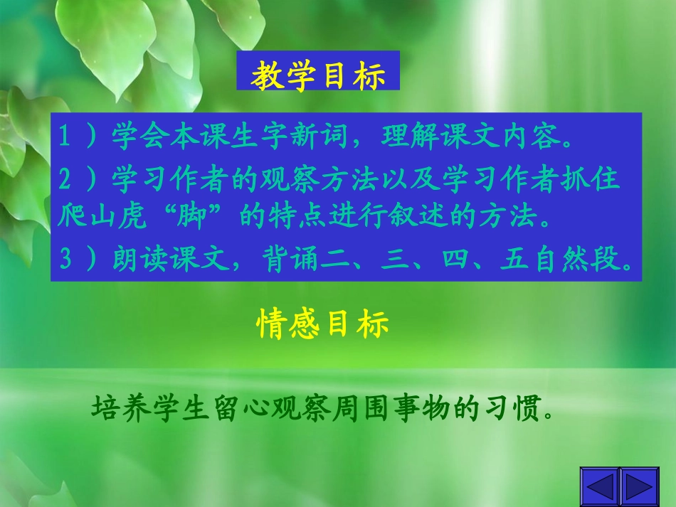人教新课标版小学四上《爬山虎的脚》课件_第2页