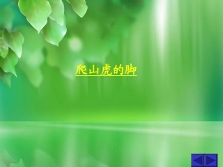 人教新课标版小学四上《爬山虎的脚》课件