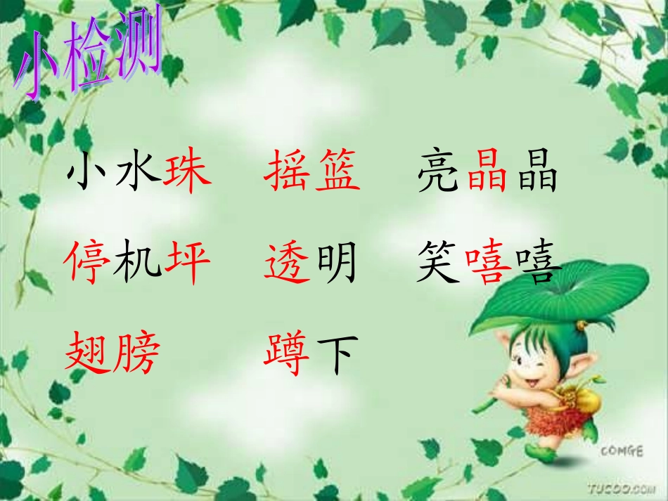 荷叶圆圆_PPT课件__第2页