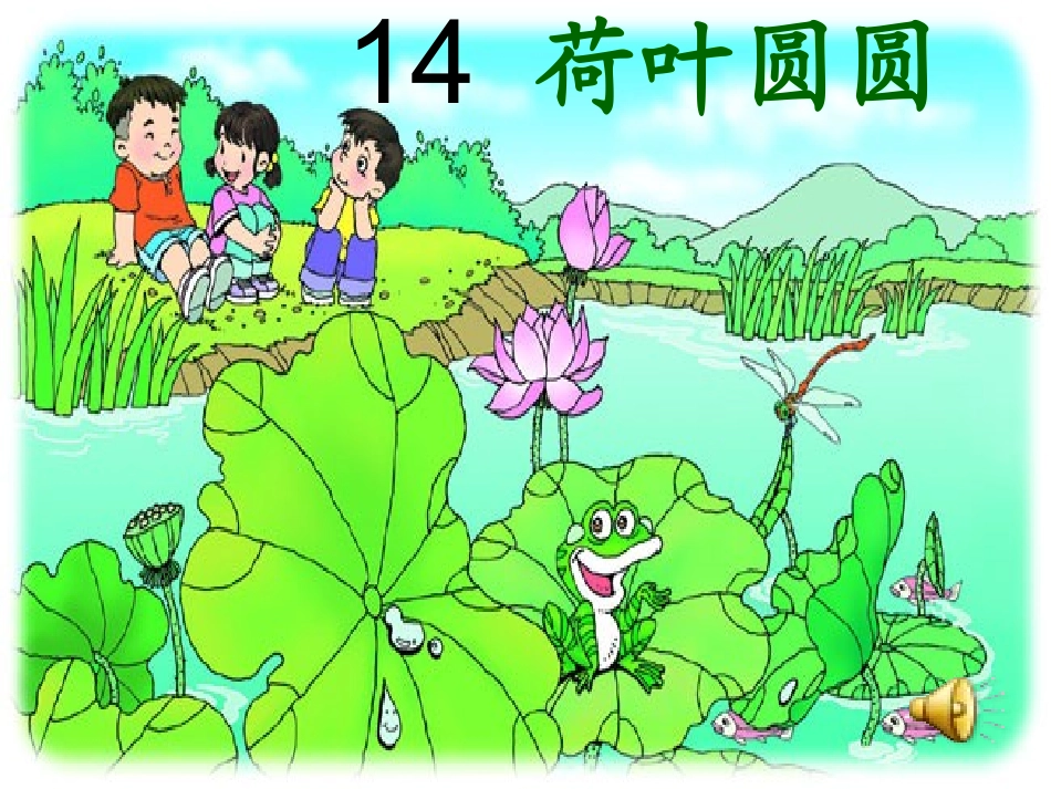 荷叶圆圆_PPT课件__第3页