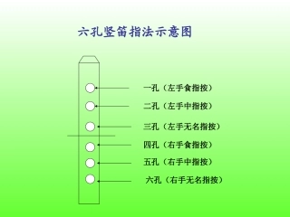 孔竖笛指法教学与练习