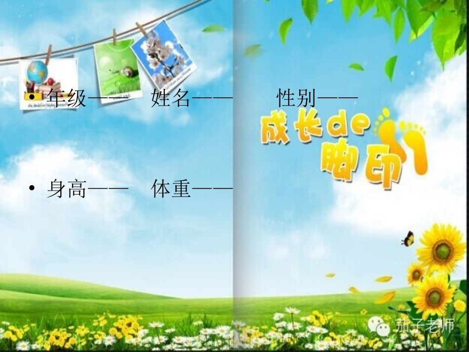 小学生的成长档案_第3页