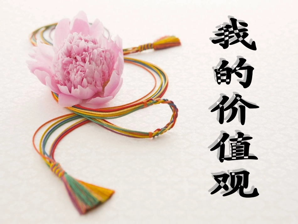 “我的价值观”主题班会_第1页