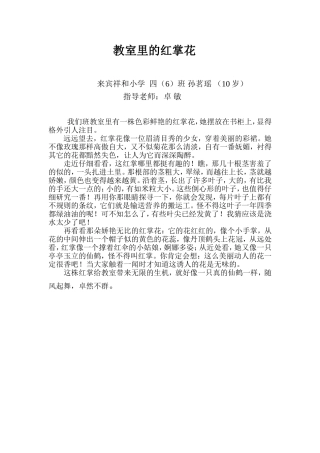 孙茗瑶《红掌花