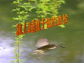 垂直与弦的直径