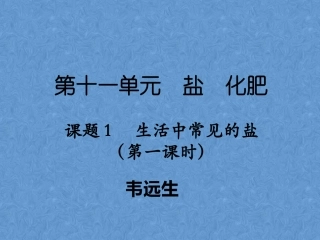 课题1盐（第一课时）2