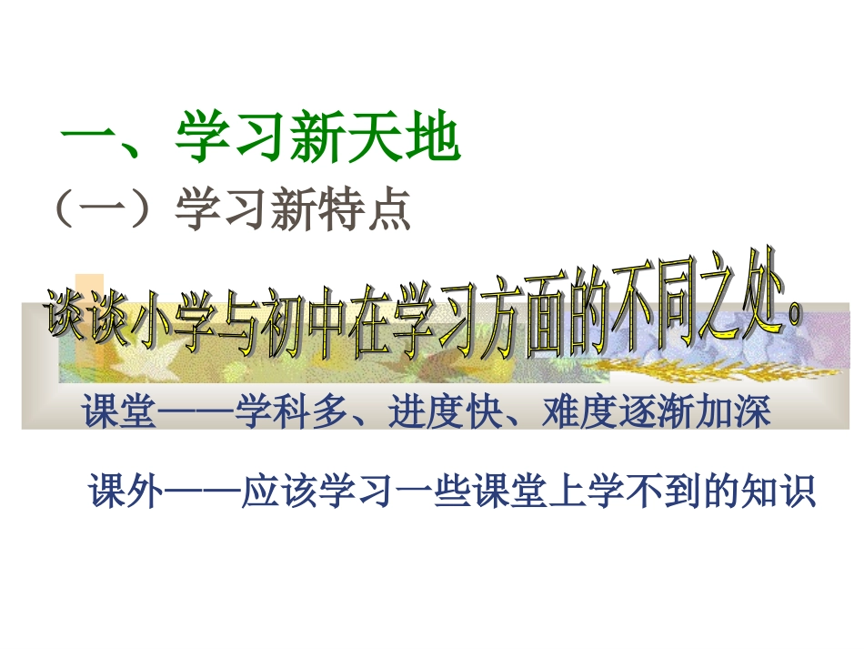 把握学习新节奏一学习新天地_第2页