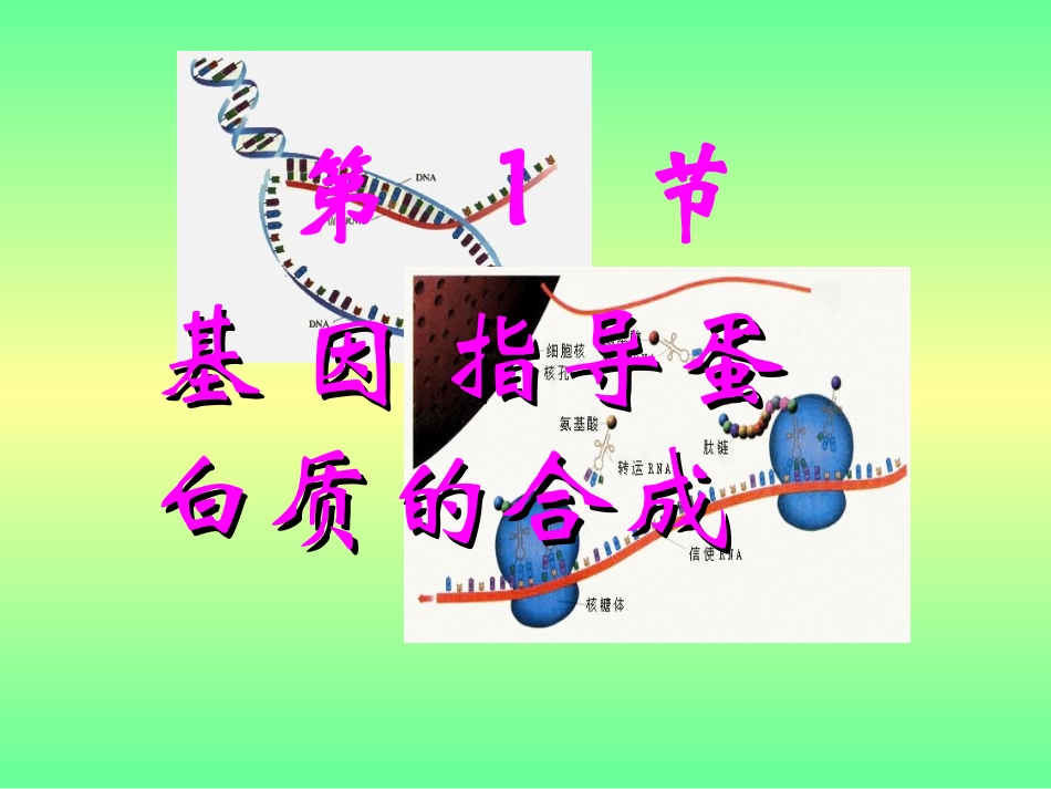 基因指导蛋白质的合成课件新人教必修_第1页