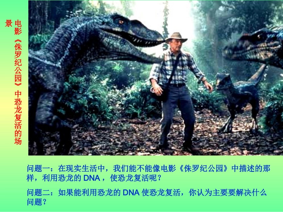 基因指导蛋白质的合成课件新人教必修_第2页