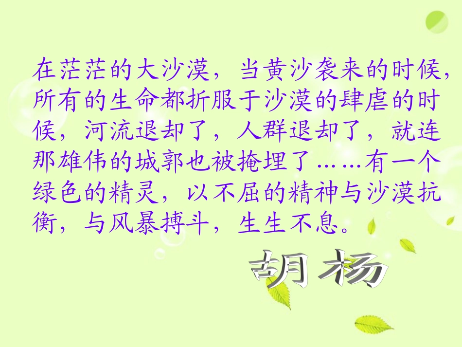 五年级语文下册《胡杨赞》课件_第3页