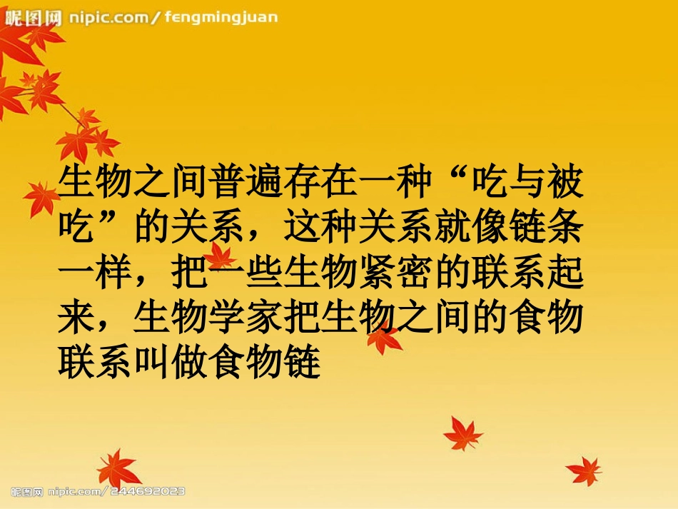 《有趣的食物链》1课件2_第3页