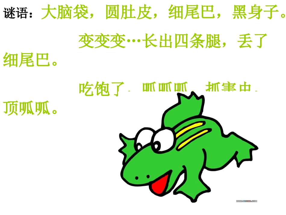 金兰《小蝌蚪找妈妈》PPT课件_(2)_第2页