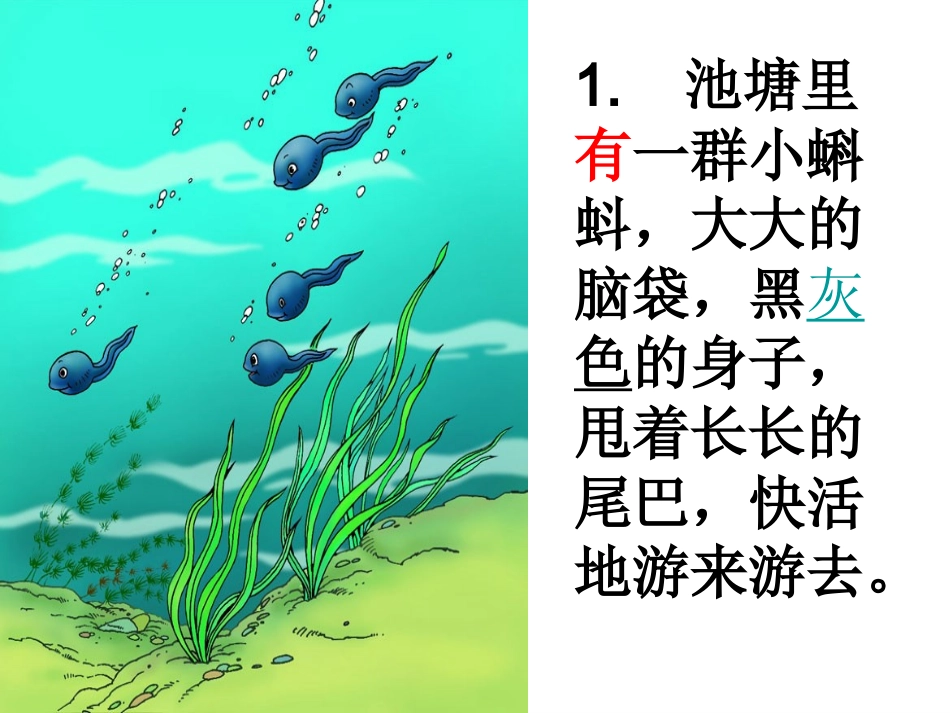 金兰《小蝌蚪找妈妈》PPT课件_(2)_第3页