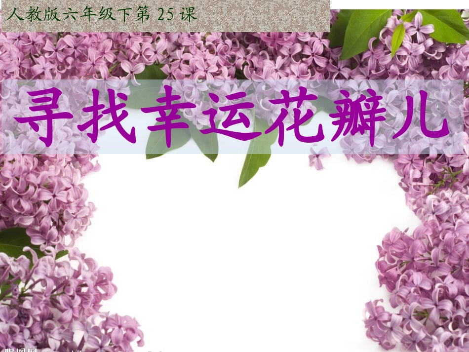 寻找幸运花瓣1_第2页