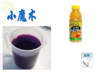 苏教版七上第二章第二节探索生命的方法（共25张PPT）