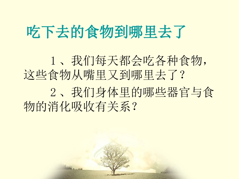 食物在体内的旅行_第3页