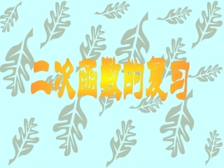 _二次函数图象及性质（复习）_