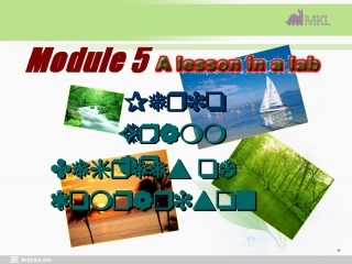 高中英语Module5Grammar课件外研社版必修1