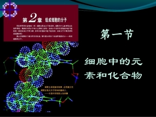 细胞中的元素和化合物