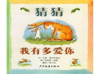 中班语言：猜猜我有多爱你(2)