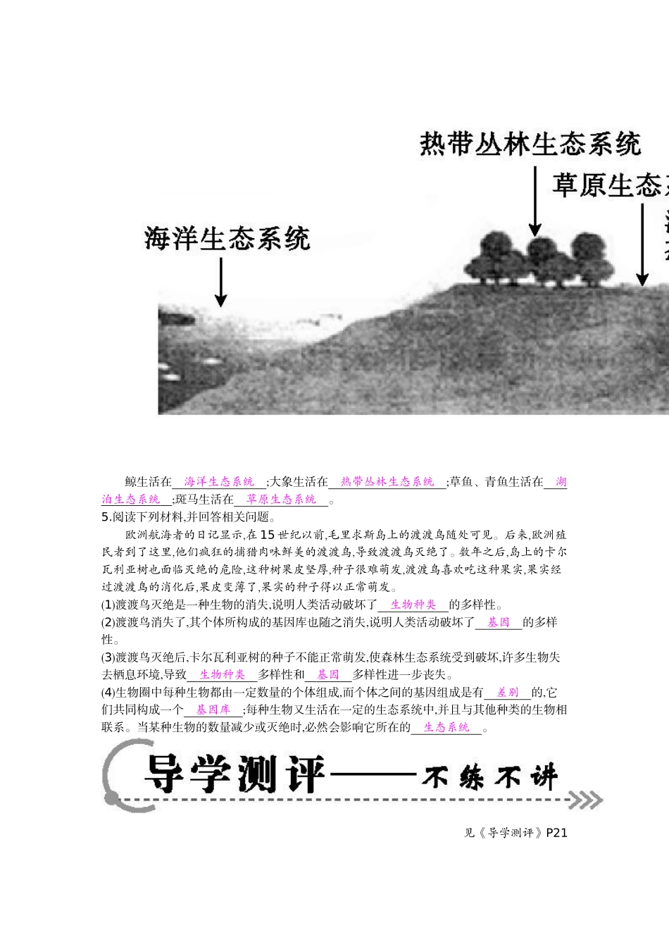 《认识生物的多样性》导学案_第3页