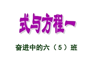 总复习《式与方程1》