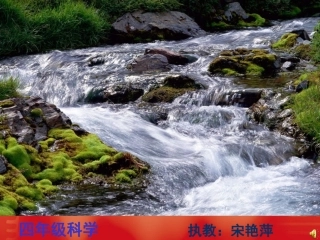 吃奶长大的小动物演示文稿宋艳萍