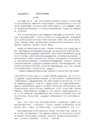 奇妙的食物链