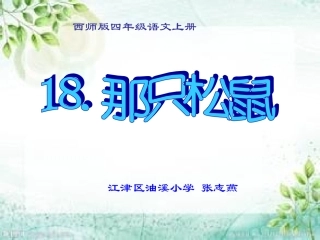 那只松鼠改张志燕